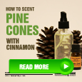 how to scent pine coens with cinnamon